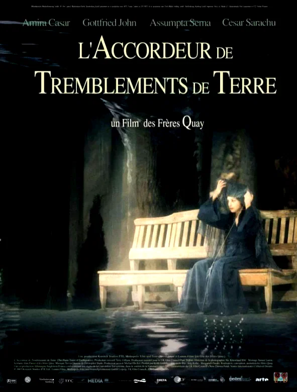 Affiche du film : L'accordeur de tremblements de terre