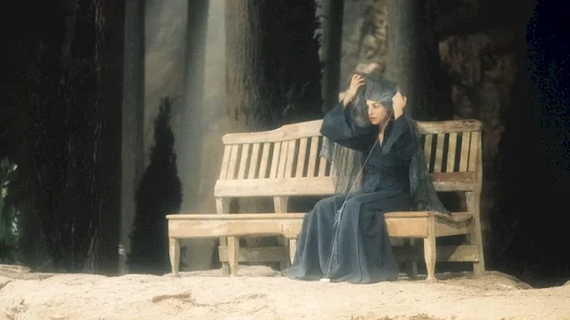 Photo du film : L'accordeur de tremblements de terre