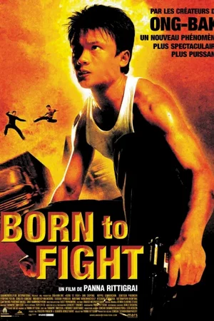 Affiche du film : Born to fight