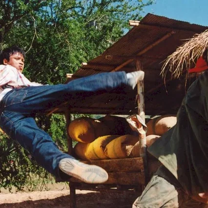 Miniature photo du film : Born to fight