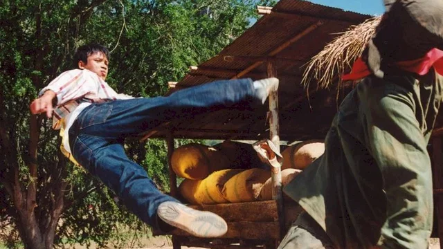 Photo 4 du film : Born to fight