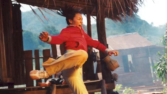 Photo 6 du film : Born to fight