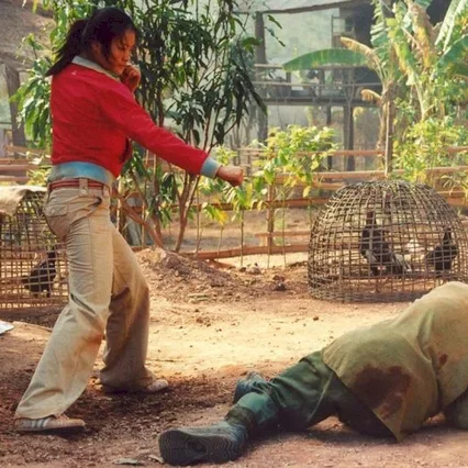 Miniature photo du film : Born to fight