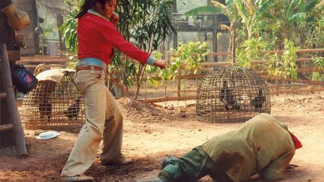 Photo 11 du film : Born to fight