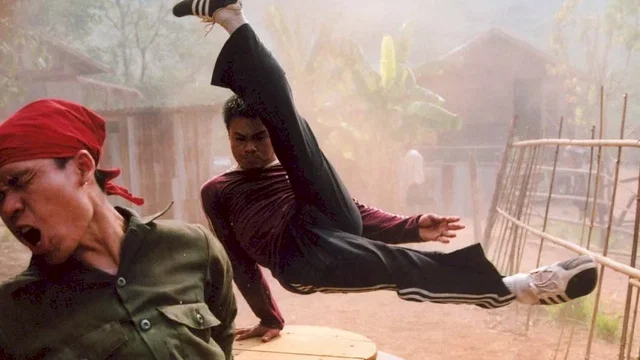 Photo 15 du film : Born to fight