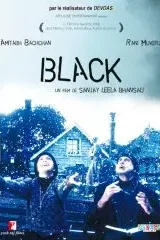 Affiche du film : Black