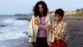 Photo 3 du film : Barakat !