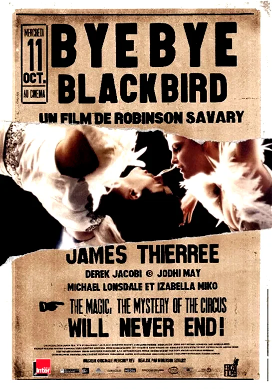 Affiche du film : Bye bye blackbird