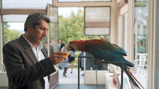 Photo du film : Prête-moi ta main