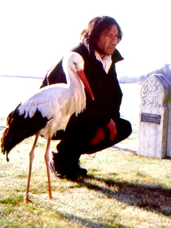 Photo 4 du film : Je suis né d'une cigogne