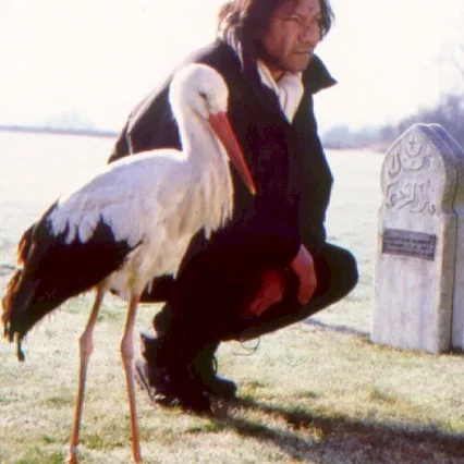 Miniature photo du film : Je suis né d'une cigogne