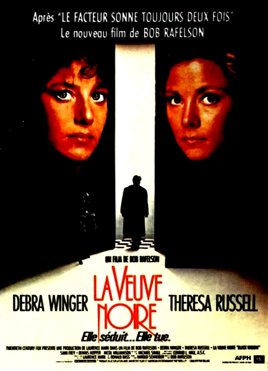 Affiche du film : La veuve noire