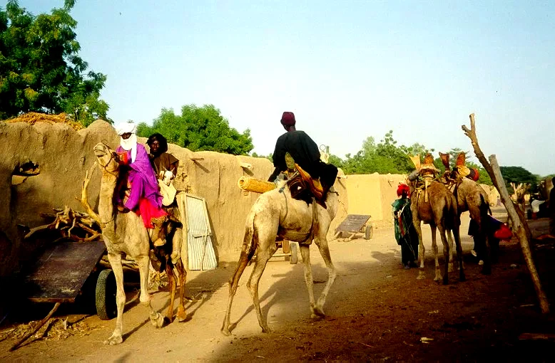 Photo 4 du film : La vie sur terre