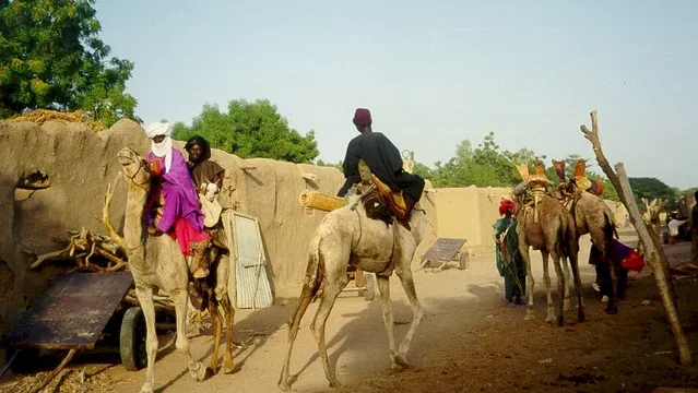 Photo du film : La vie sur terre