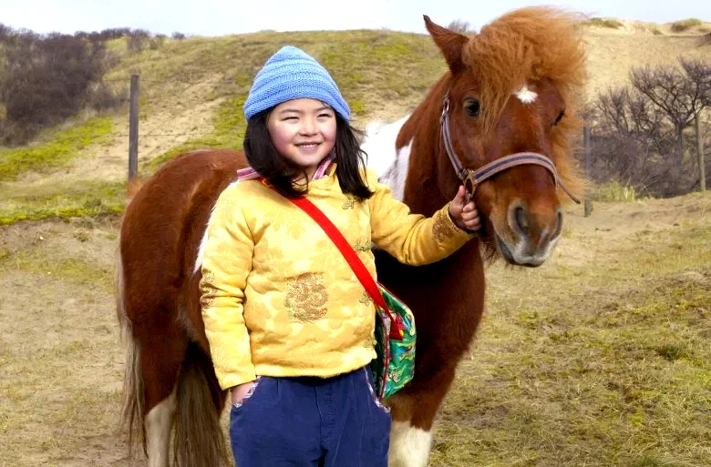 Photo 6 du film : Le Cheval de Saint Nicolas