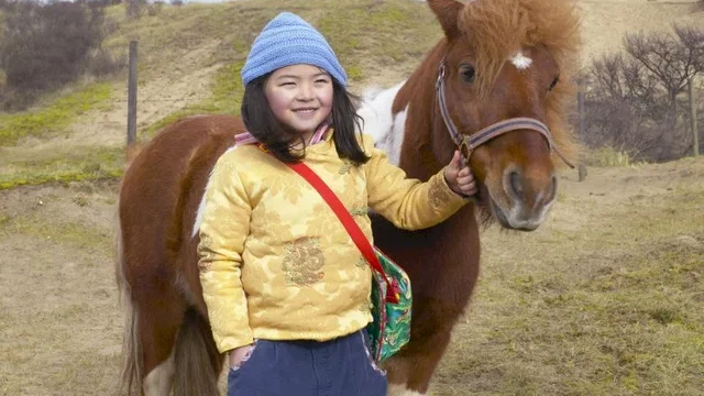 Photo du film : Le Cheval de Saint Nicolas