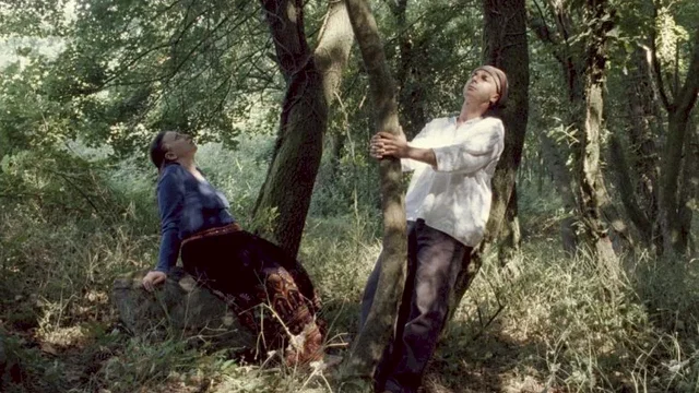 Photo 2 du film : Ces rencontres avec eux