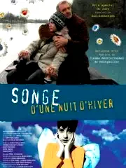 Affiche du film : Songe d'une nuit d'hiver