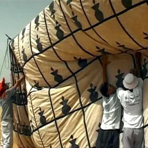 Photo du film : Allez yallah !