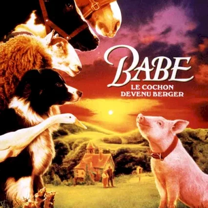 Miniature photo du film : Babe, Le Cochon Devenu Berger