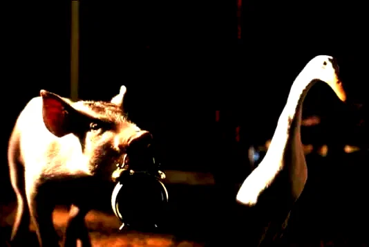 Photo 4 du film : Babe, Le Cochon Devenu Berger