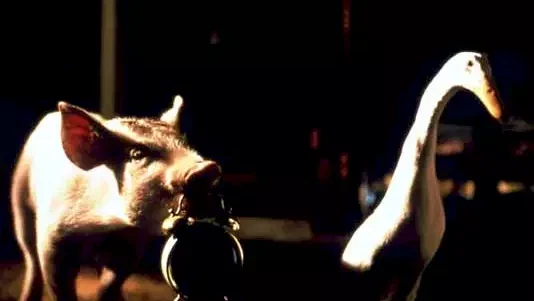 Photo du film : Babe, Le Cochon Devenu Berger