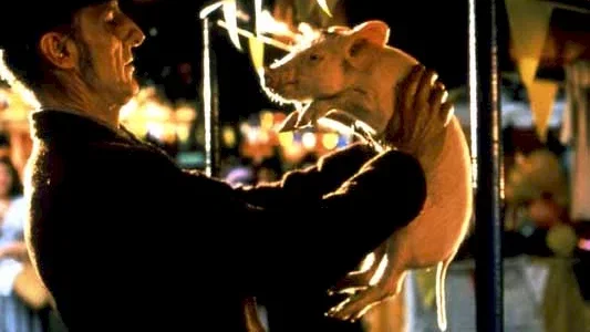 Photo du film : Babe, Le Cochon Devenu Berger