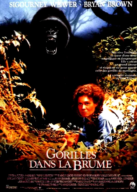 Affiche du film : Gorilles dans la brume