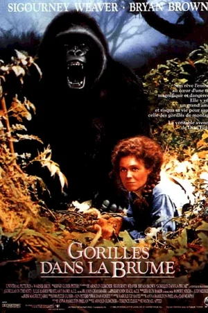 Affiche du film : Gorilles dans la brume