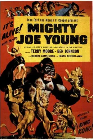 Affiche du film : Monsieur joe