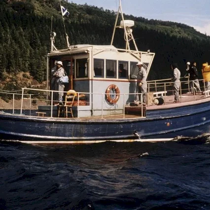 Miniature photo du film : Incident au Loch Ness