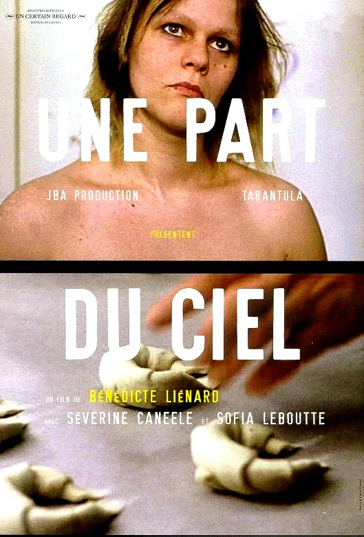 Affiche du film : Une part du ciel