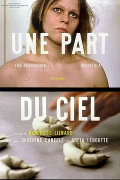 Affiche du film Une part du ciel