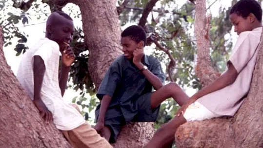 Photo du film : Keita, l'héritage du griot