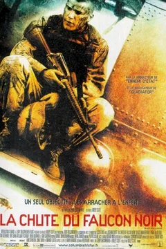 Affiche du film La chute du faucon noir