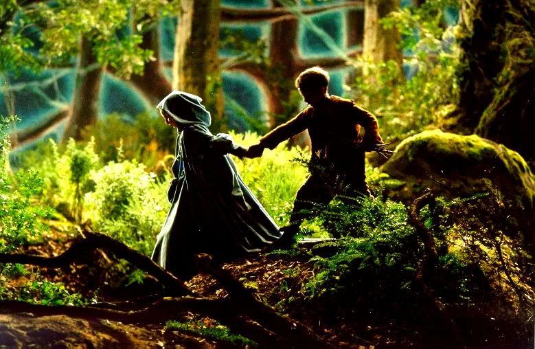 Photo 3 du film : Le Petit Poucet
