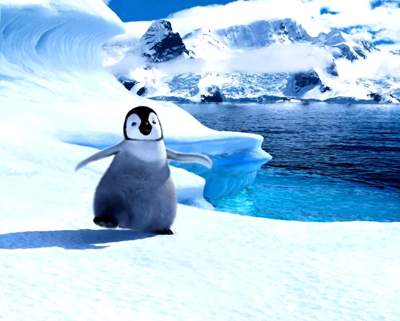 Photo du film : Happy Feet 2