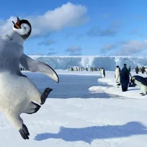 Photo du film : Happy feet