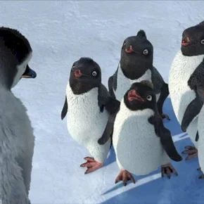 Photo du film : Happy feet