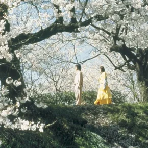 Photo du film : Dolls