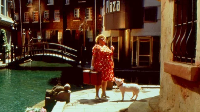 Photo 2 du film : Babe (le cochon dans la ville)