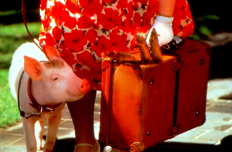 Photo 4 du film : Babe (le cochon dans la ville)