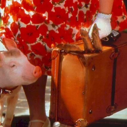 Miniature photo du film : Babe (le cochon dans la ville)