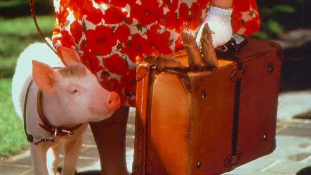 Photo 4 du film : Babe (le cochon dans la ville)