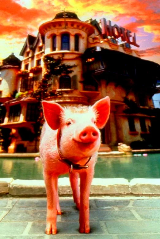 Photo 5 du film : Babe (le cochon dans la ville)