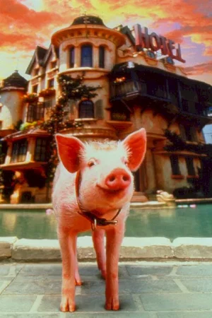 Photo 5 du film : Babe (le cochon dans la ville)