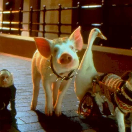 Miniature photo du film : Babe (le cochon dans la ville)