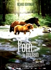 Affiche du film : Pom le poulain