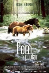 Affiche du film Pom le poulain