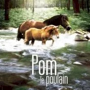 Photo du film : Pom le poulain